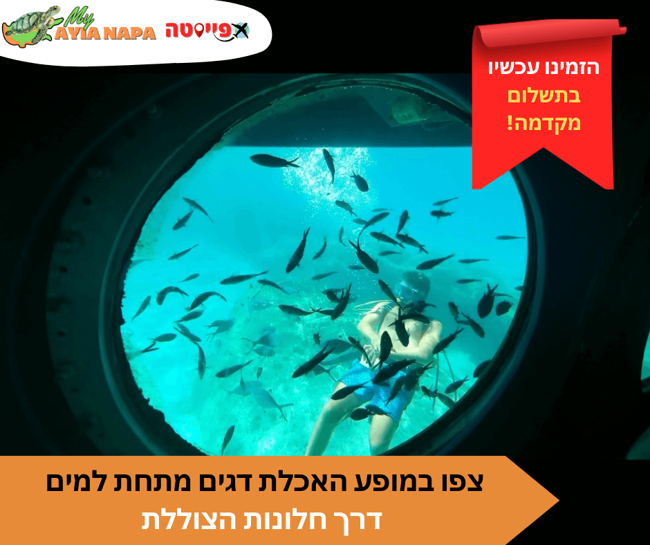 שייט הצוללת הצהובה באיה נאפה – תמונה 4