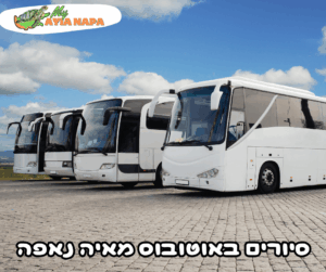 סיורים באוטובוס מאיה נאפה