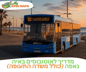 אוטובוסים באיה נאפה – המדריך המלא לתחבורה ציבורית